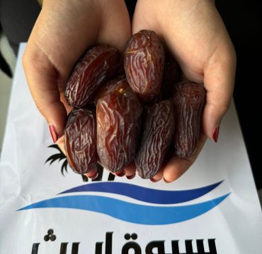 WhatsApp Image 2025-11-08 at 6.53.43 PM