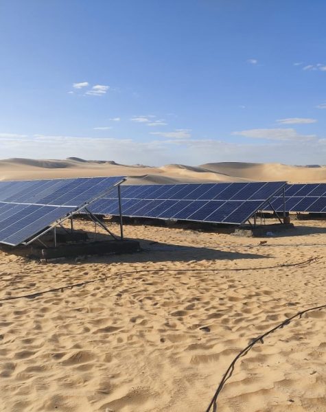 311042226_491342253007274_3437093334872695298_n