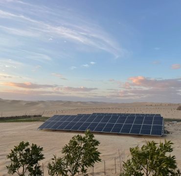 WhatsApp Image 2023-03-27 at 2.37.06 PM