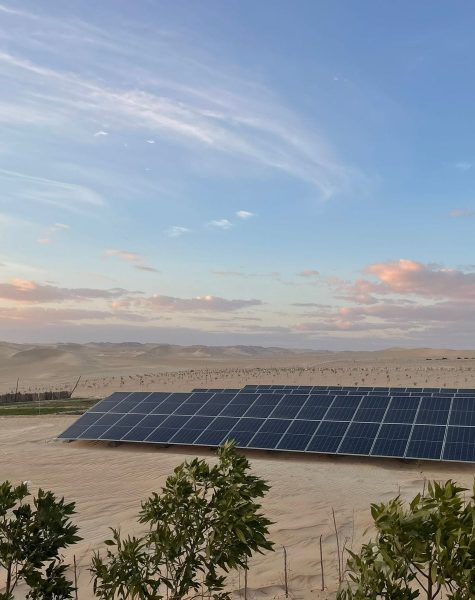 WhatsApp Image 2023-03-27 at 2.37.06 PM