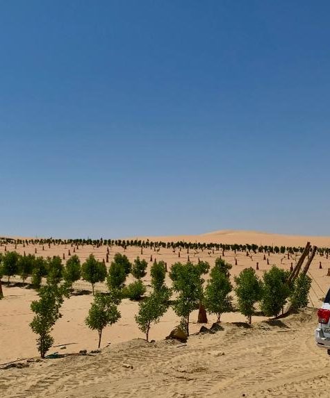 WhatsApp Image 2024-01-31 at 19.25.16_19f2e553