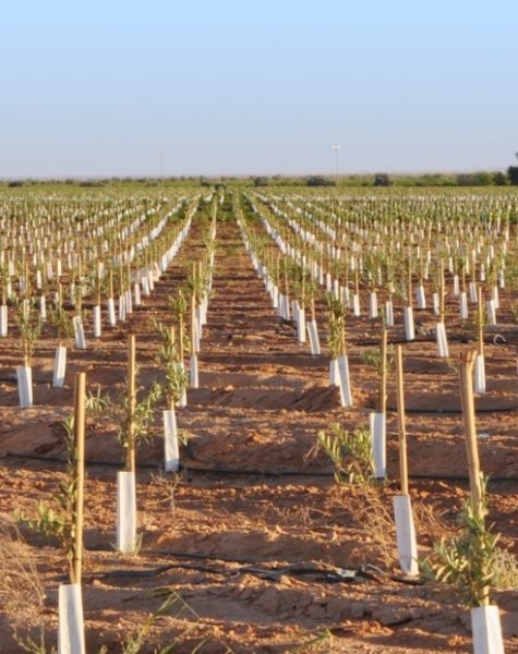 WhatsApp Image 2024-11-13 at 10.56.19 AM