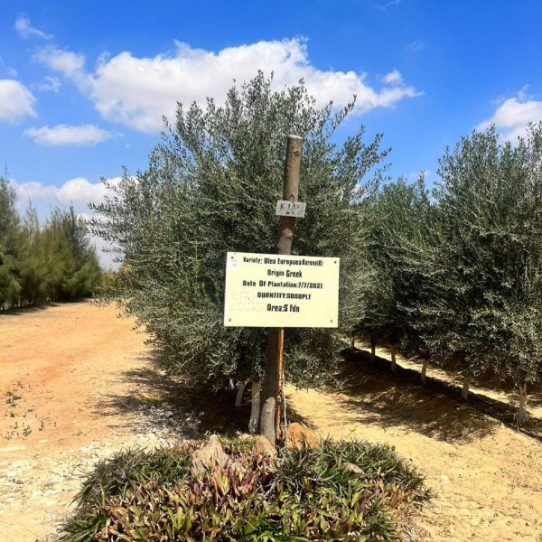 WhatsApp Image 2024-12-25 at 2.09.24 PM