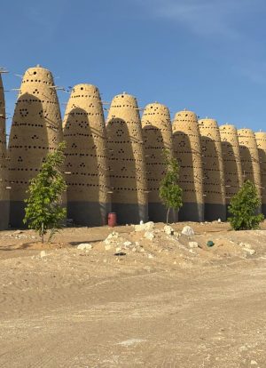 WhatsApp Image 2025-11-08 at 1.04.28 PM (1)