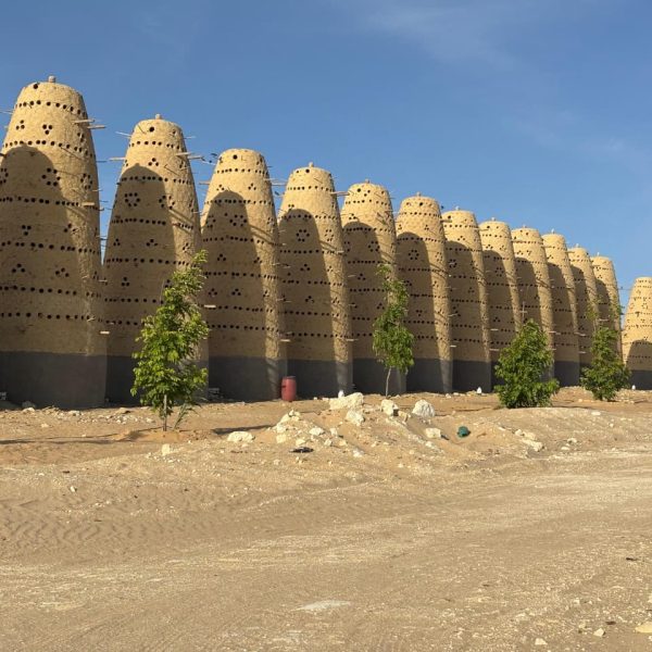 WhatsApp Image 2025-11-08 at 1.04.28 PM (1)