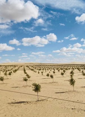 WhatsApp Image 2025-11-08 at 1.04.36 PM (1)