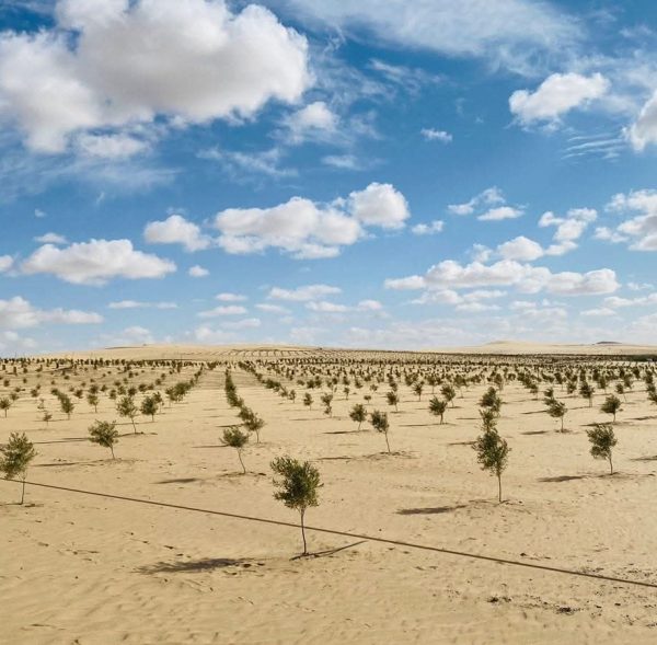 WhatsApp Image 2025-11-08 at 1.04.36 PM (1)