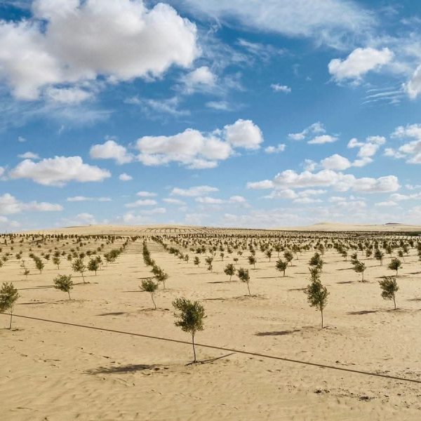 WhatsApp Image 2025-11-08 at 1.04.36 PM (1)