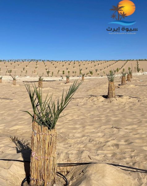 WhatsApp Image 2025-11-08 at 5.54.56 PM (1)