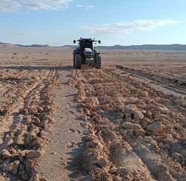 WhatsApp Image 2025-11-08 at 5.55.02 PM