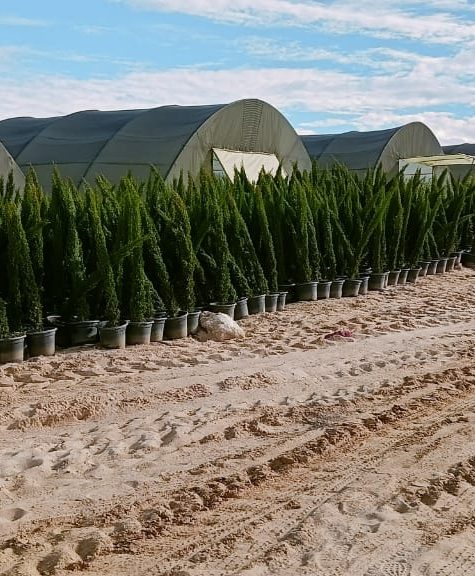 WhatsApp Image 2025-11-08 at 5.59.09 PM