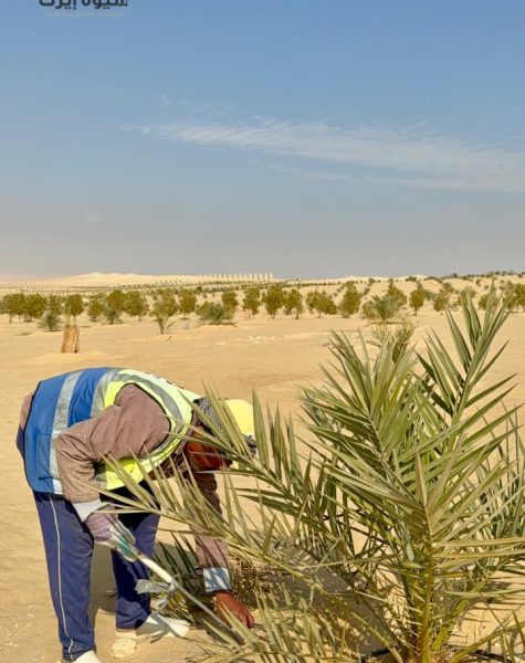 WhatsApp Image 2025-11-08 at 5.59.10 PM (2)