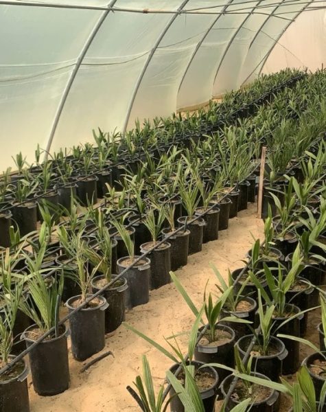 WhatsApp Image 2025-11-08 at 5.59.11 PM (1)