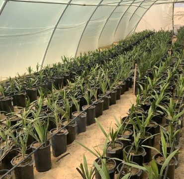 WhatsApp Image 2025-11-08 at 5.59.11 PM (1)