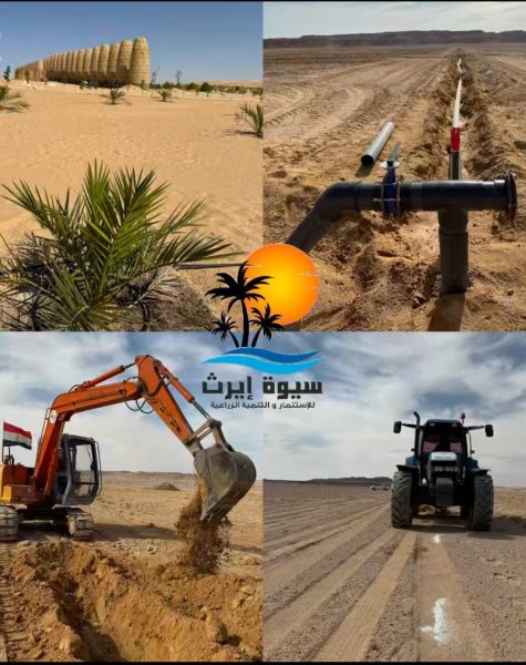 WhatsApp Image 2025-11-08 at 5.59.13 PM (1)